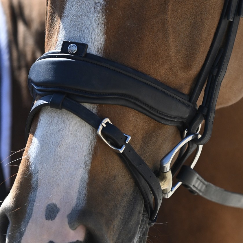 Snaffle bridle with large crank