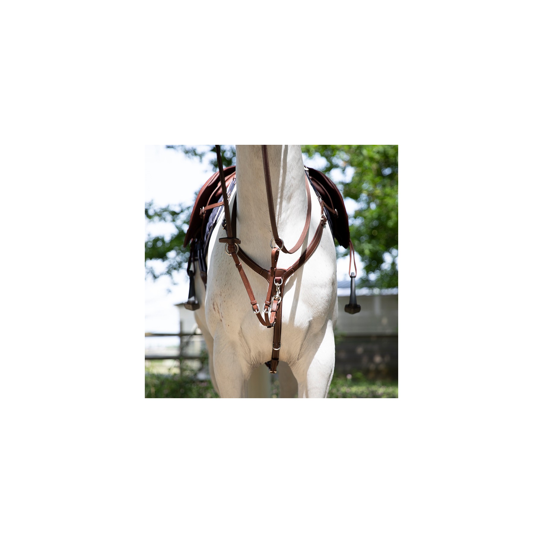 Precision leather breastplate for double flap saddle | Antarès Sellier