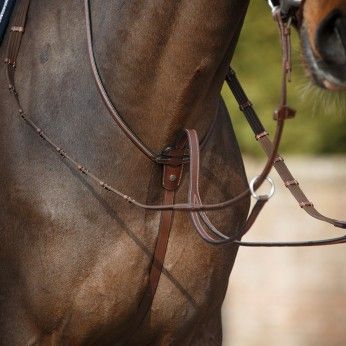 Martingale à anneaux Antarès