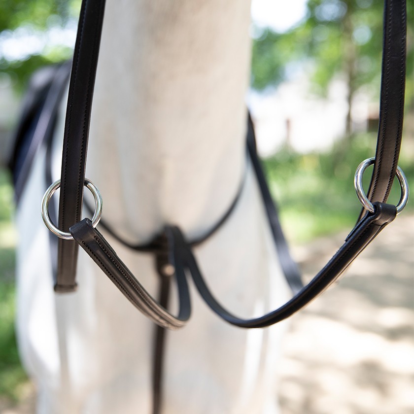 Martingale à anneaux Antarès