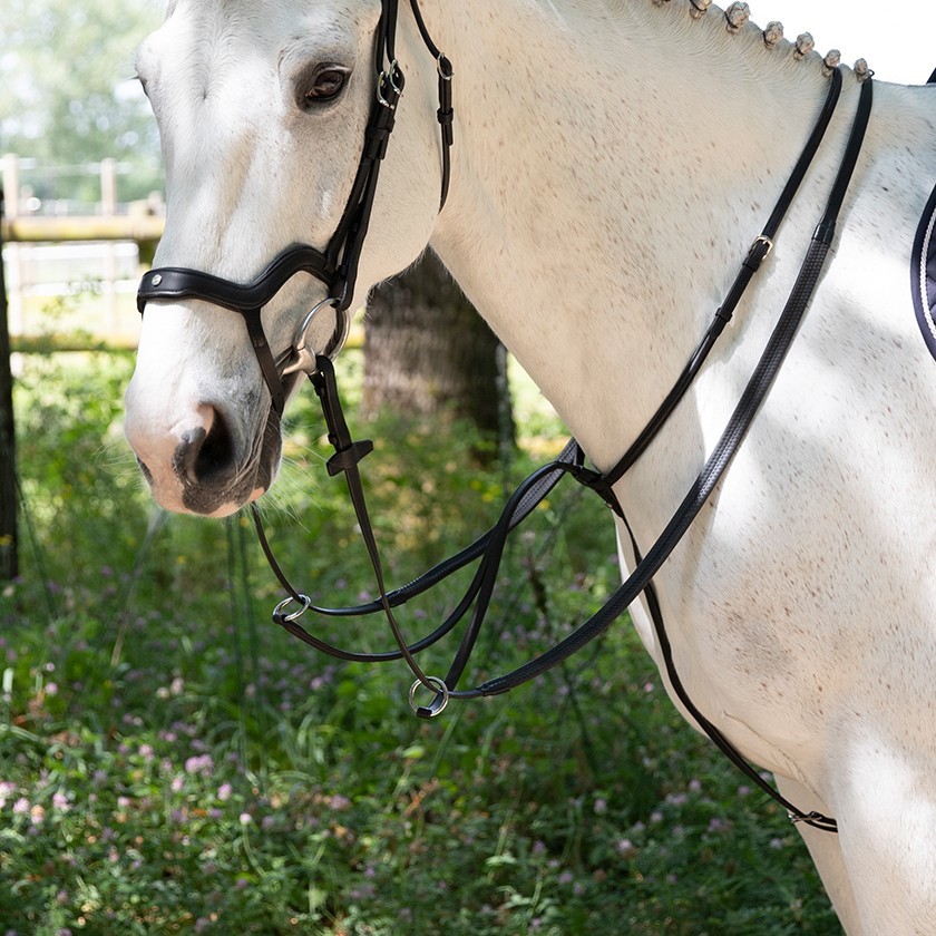 Martingale à anneaux Antarès