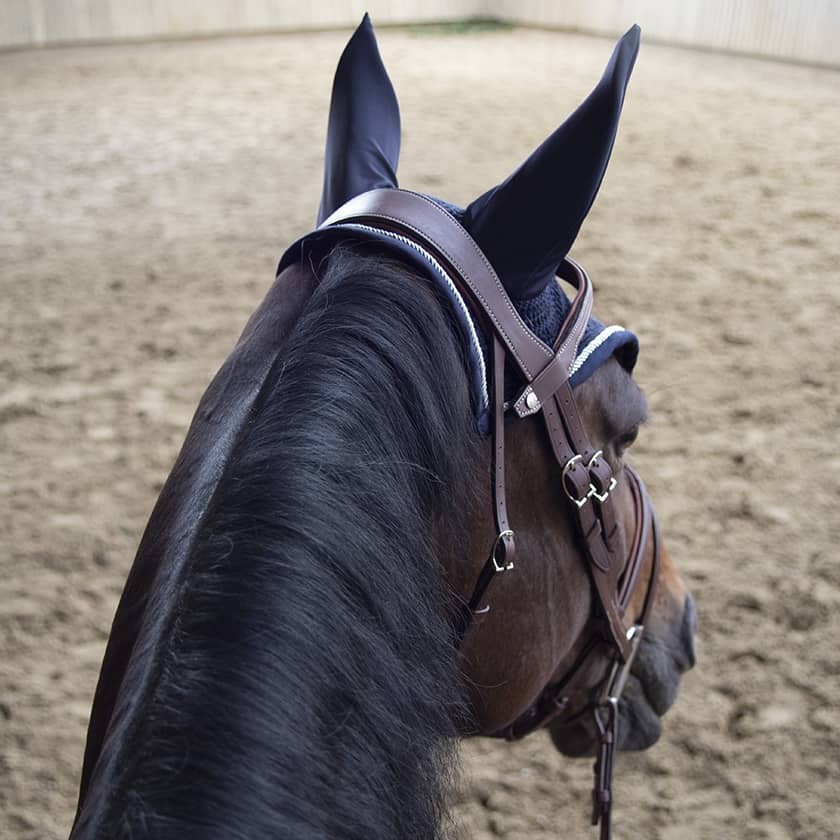 Origin anatomic flash noseband bridle