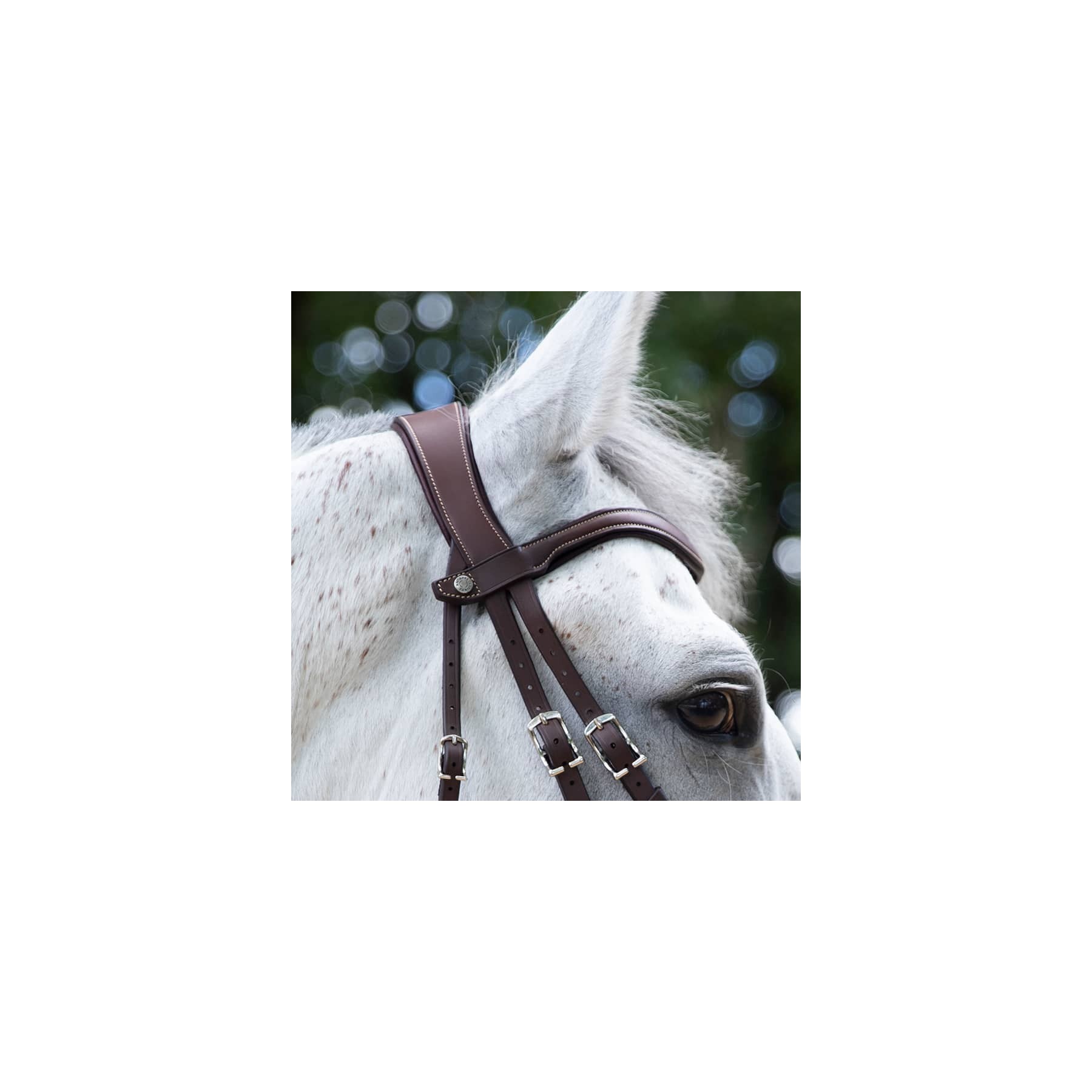 Origin anatomic flash noseband bridle | Antarès Sellier