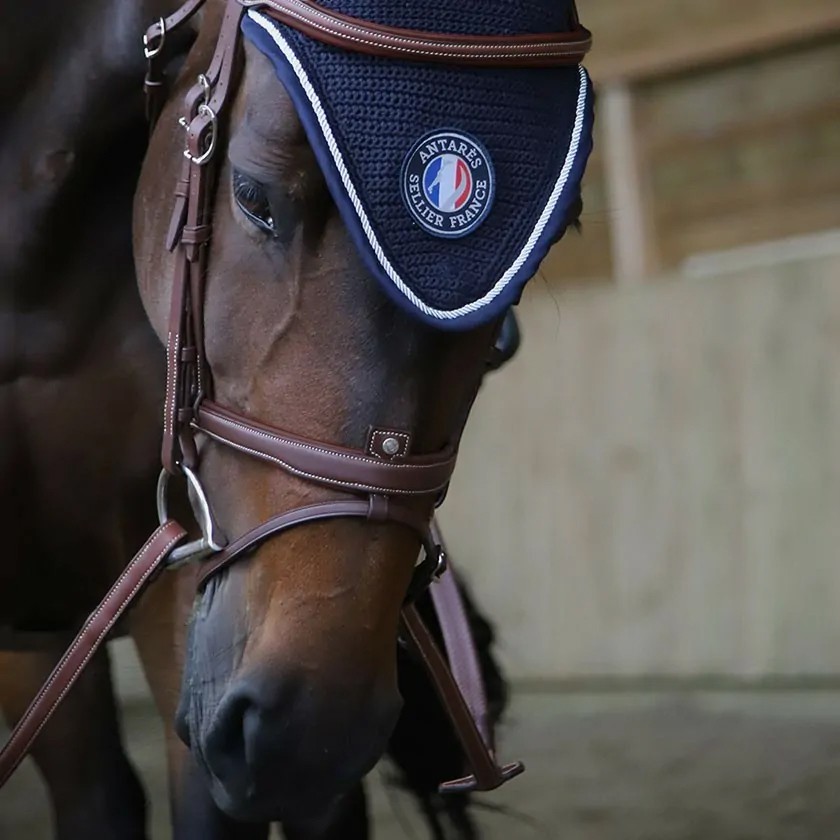 Origin anatomic flash noseband bridle