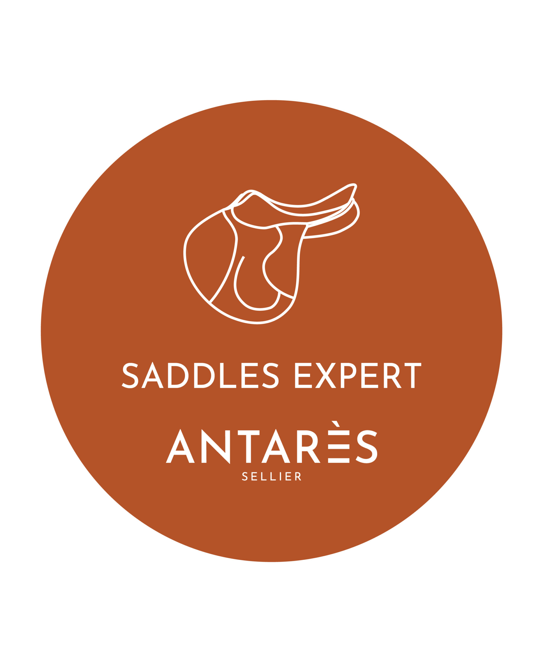 Antarès saddle expert