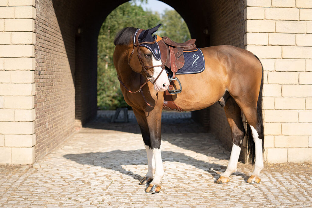 Cadeaux cheval pour adultes : idées pour les fans d'équitation