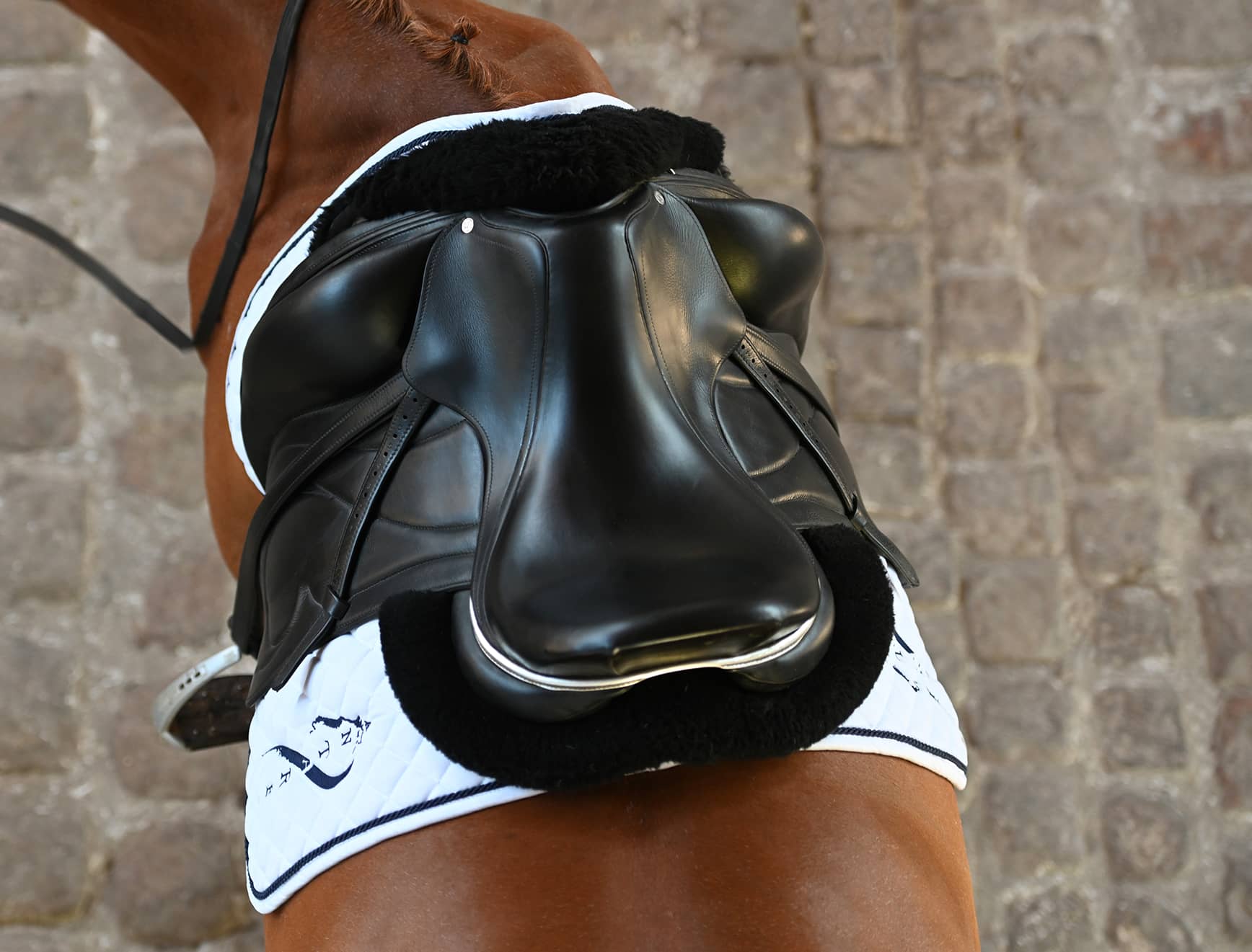 SELLE EQUITATION ANTARES