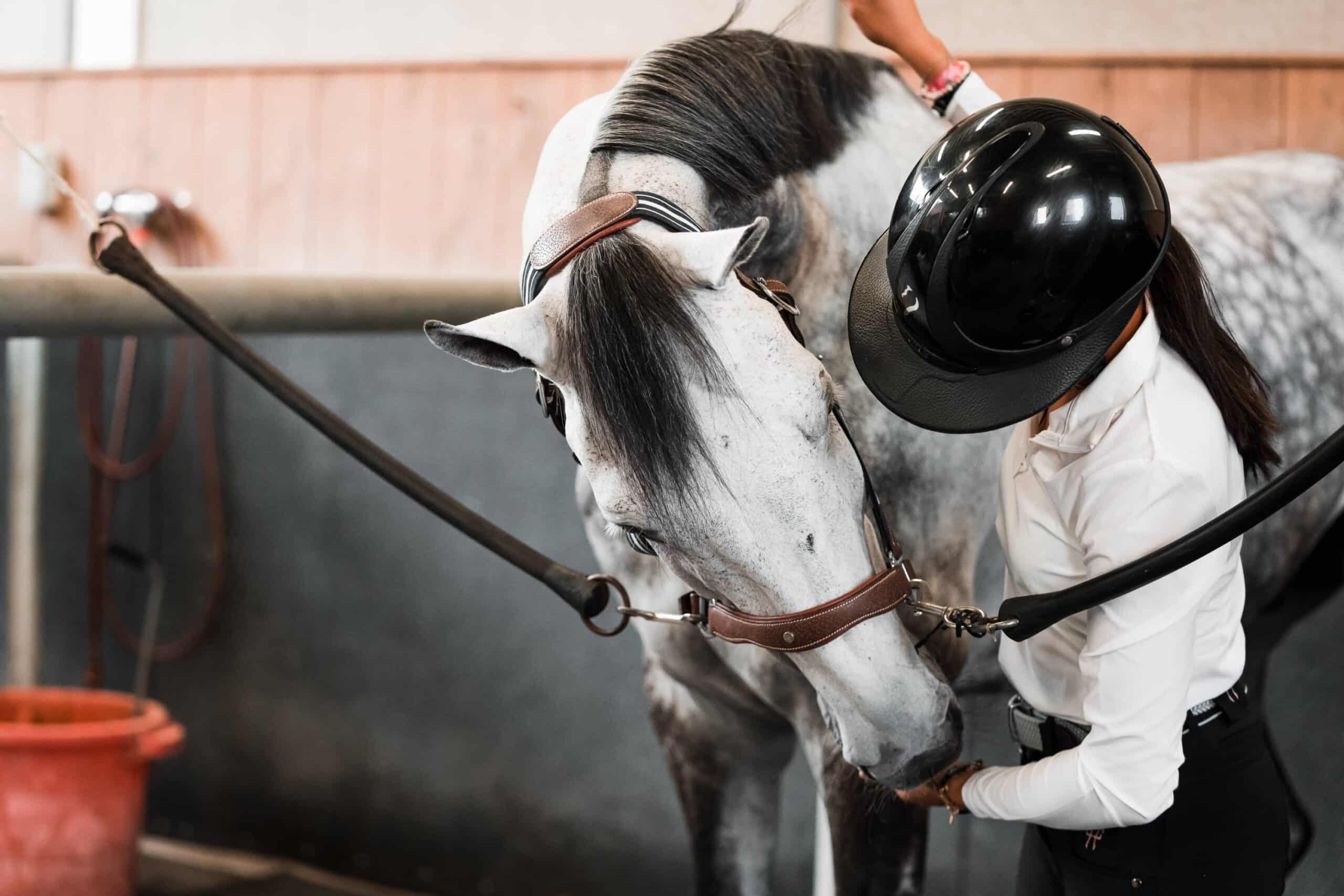 L'équitation : est-ce vraiment un sport ?