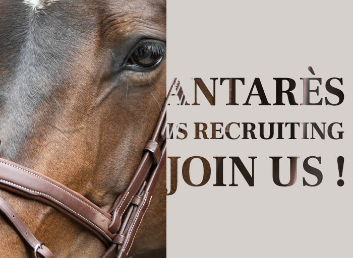 Recruitment-saddles-accessories-product-manager