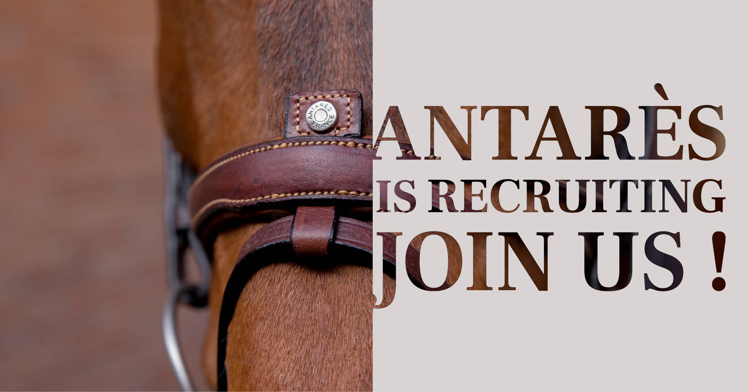 Recruitment- saddle-accessory-prototype-developer-Antarès