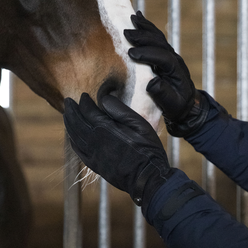 Nos gants d'équitation sont issus de nos chutes de cuir. Ils seront parfaits pour monter à cheval ou sortir en ville.