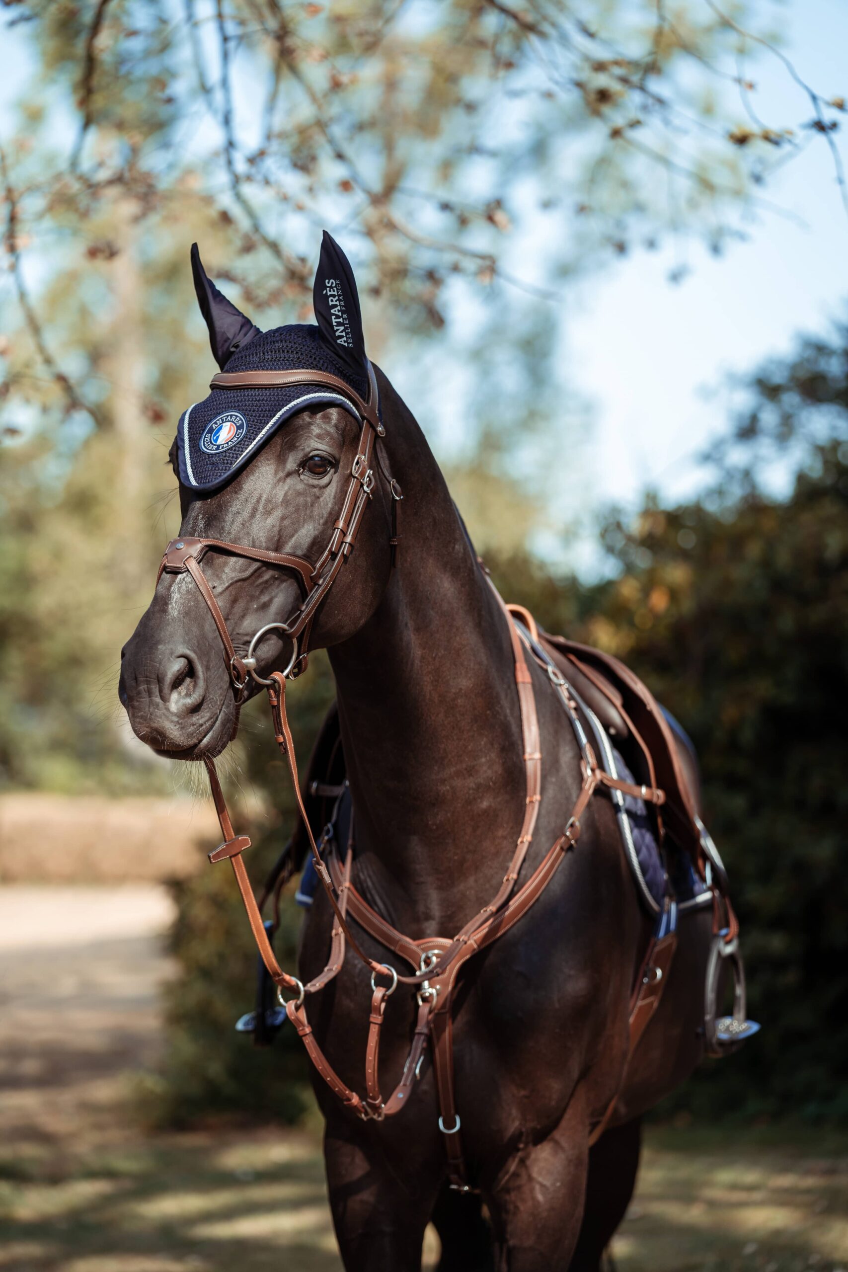Matériel d'équitation en cuir pour la pratique de l'équitation