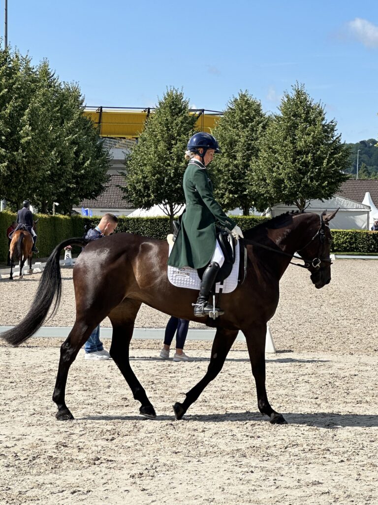 Concours Aachen cavalier antarès 