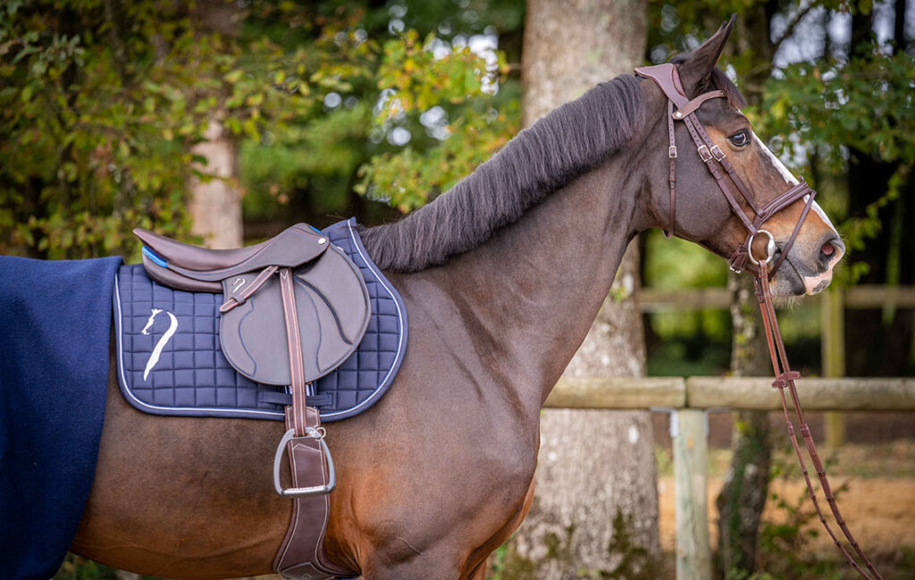 With a flat seat that fosters enhanced rider-horse connection, this model also offers remarkable flexibility and balance in the rider's position, delivering an unparalleled riding experience.