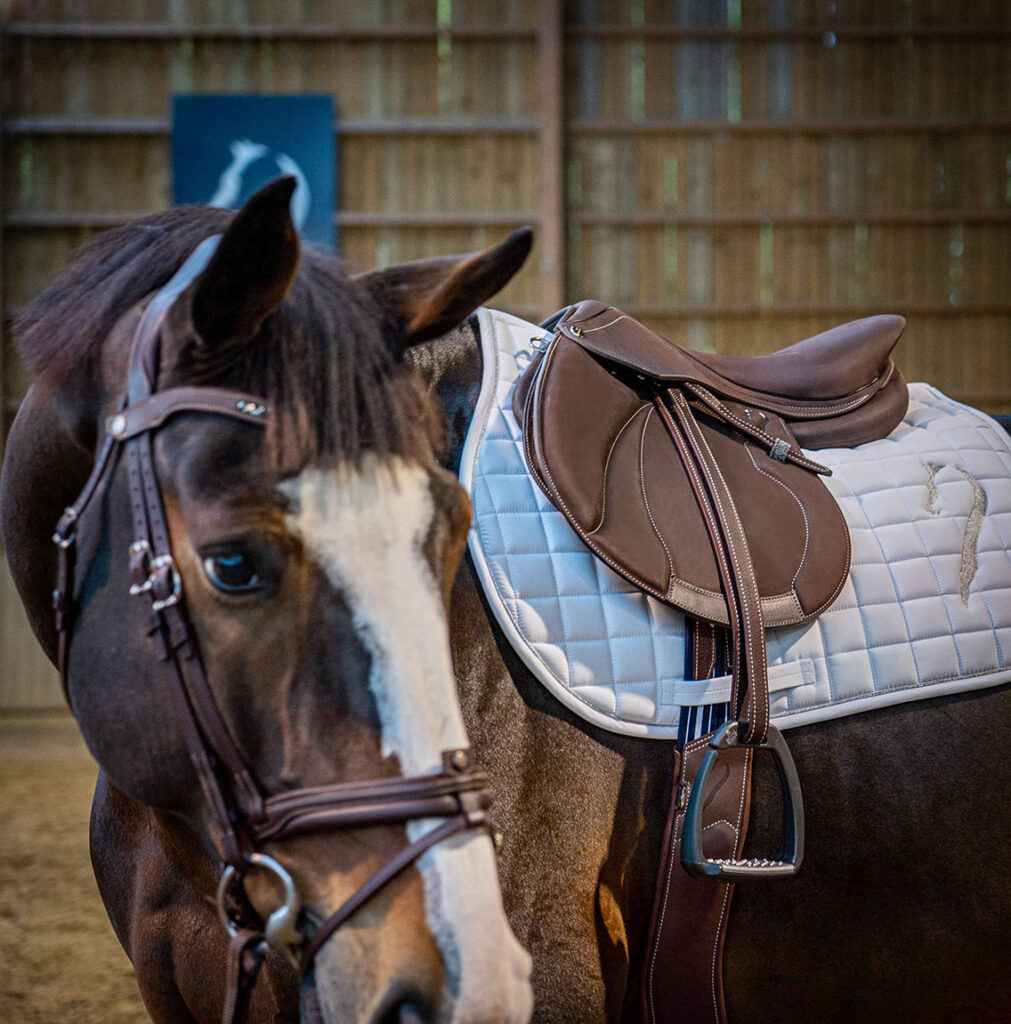 Dotée d’un siège plat permettant au cavalier d’avoir plus de contact avec le cheval, la selle d'équitation Extra Contact offre également une grande mobilité dans sa position pour une expérience inégalée.
