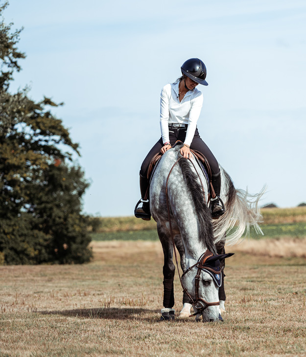 Offre briderie Antarès, visuel cheval monté en exterieur