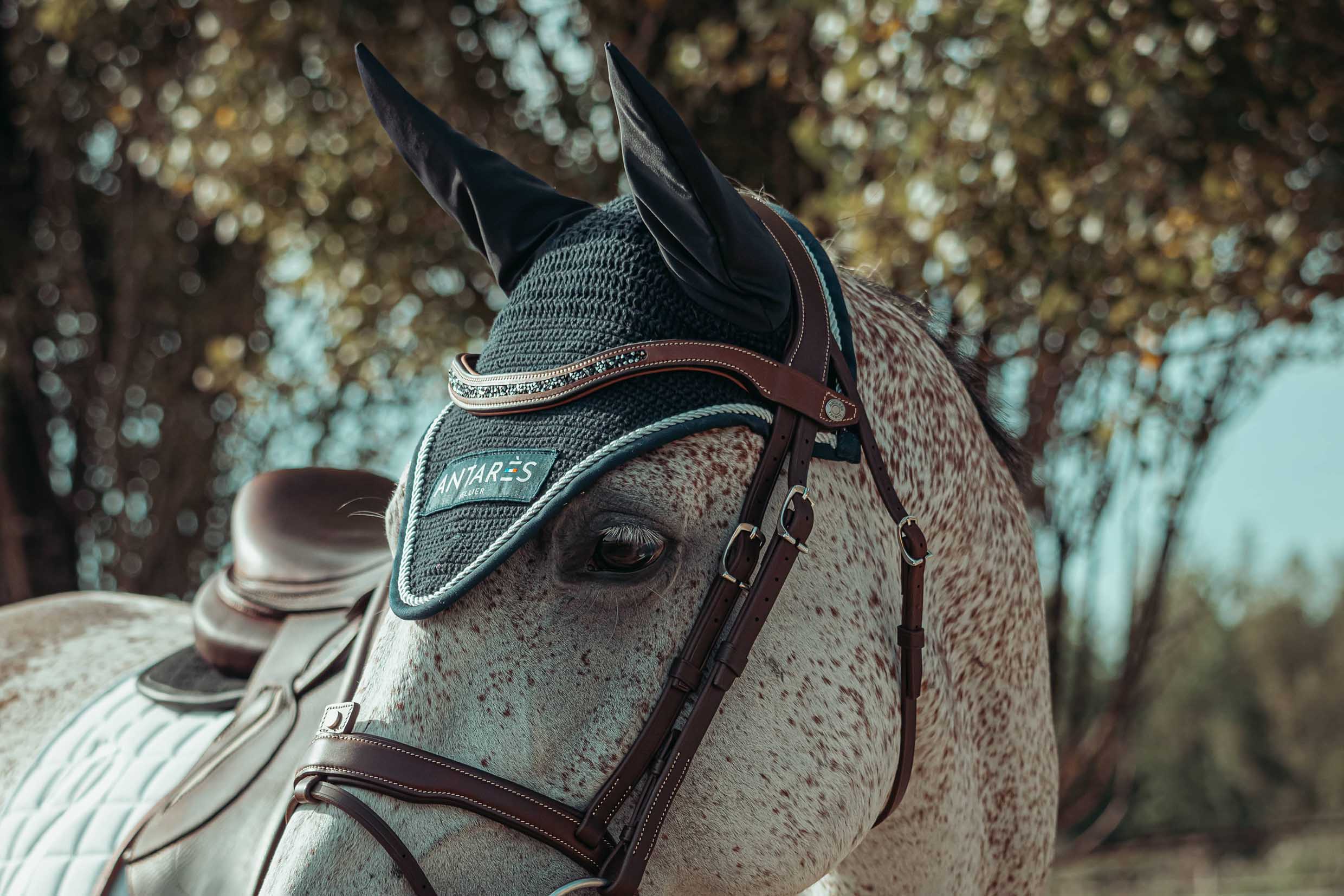 Bonnet pour cheval