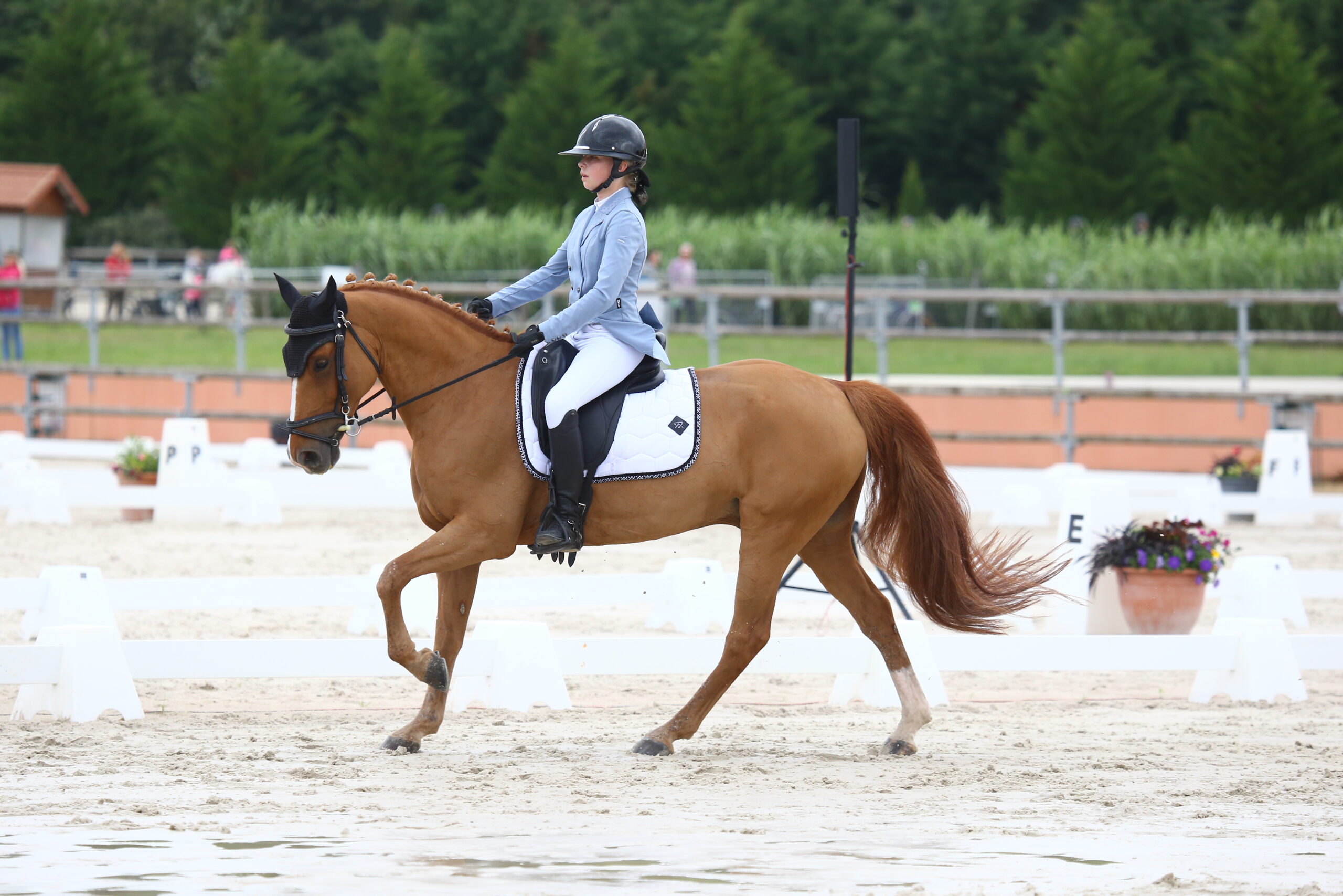 GENERALIE OPEN DE France PONEY